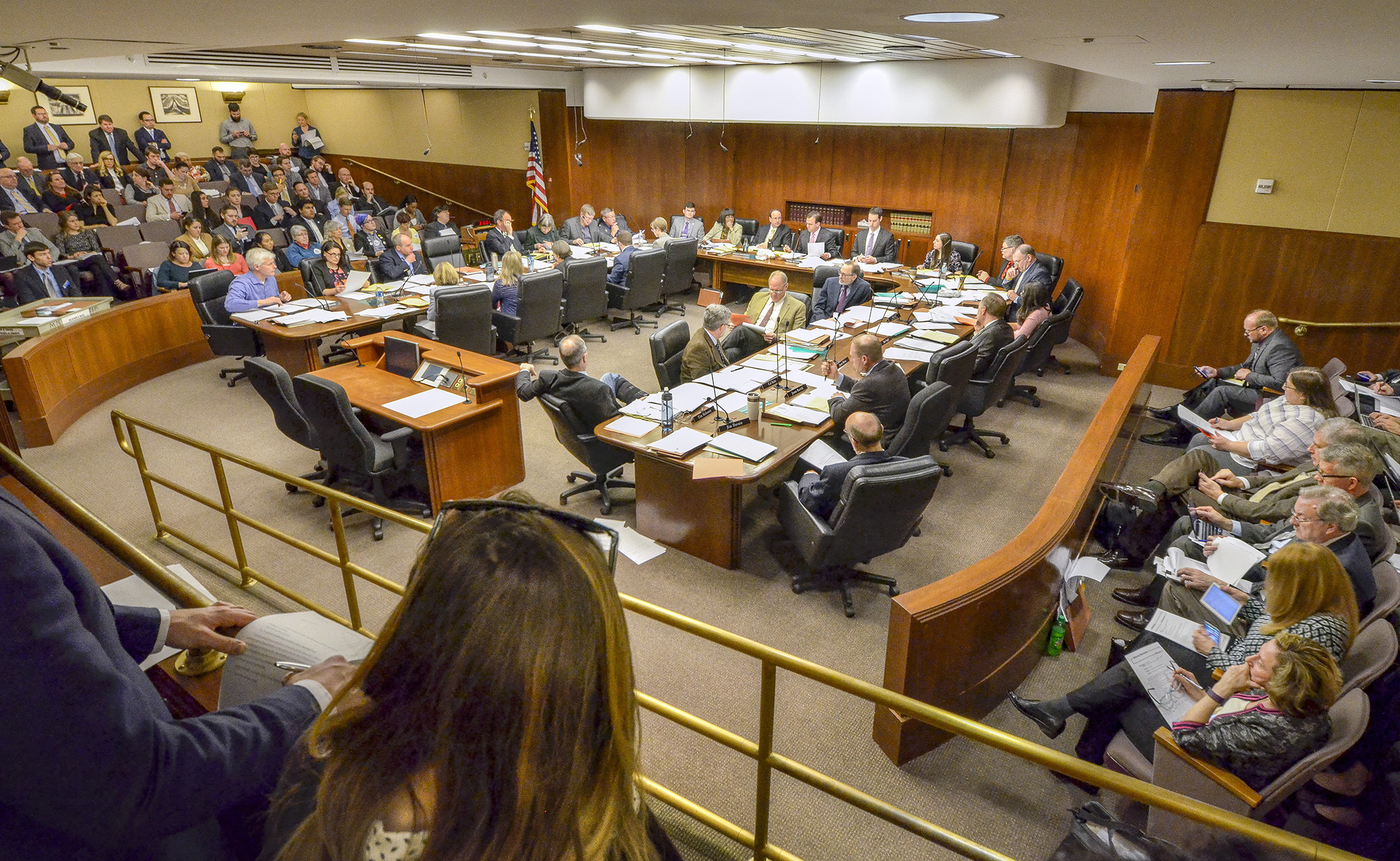 At a well-attended hearing, members of the House Job Growth and Energy Affordability Policy and Finance Committee consider amendments to the committee’s omnibus bill March 28. Photo by Andrew VonBank